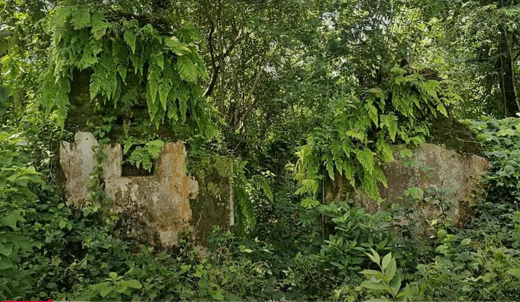 Captura de pantalla 2025 10 19 205607