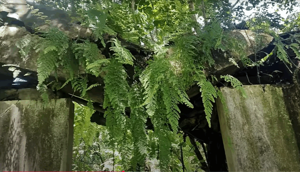 Captura de pantalla 2025 10 19 205931