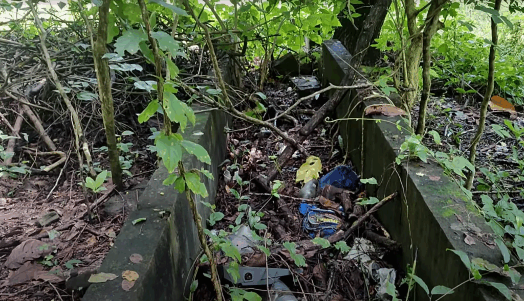 Captura de pantalla 2025 10 19 210451