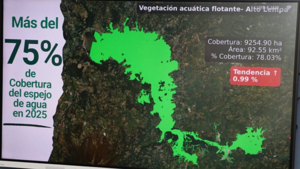 Video dia de la madre collage blanco 2025 11 12T071908.701