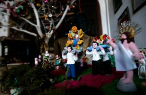 491353385 3959484880994450 3943693363154184194 n