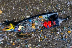 590988715 1310687127762220 2463796995247257252 n