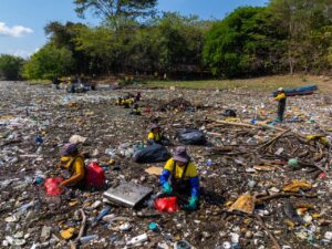 598567265 1320041273493472 5706960403934438707 n 1