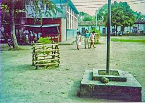 614460385 1296673529164114 2242064246001096839 n