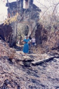 b1d6799f 589e 44fa 92ff 5349d3632d69