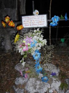 160143796 2736715393214391 1377403929471889359 n