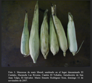 Captura de pantalla 2026 04 25 074116