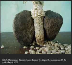 Captura de pantalla 2026 04 25 074157