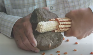 Captura de pantalla 2026 04 25 080257